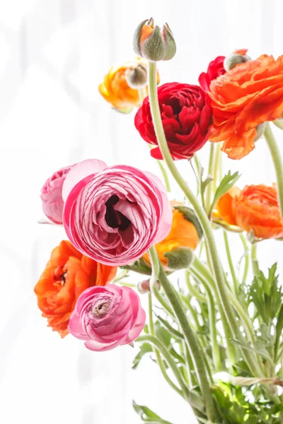 Colorful buttercup flowers — Stock Photo, Image