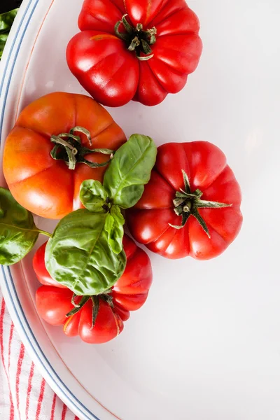 Tomates rouges fraîches — Photo