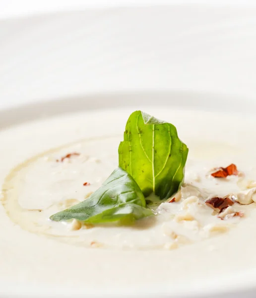 Cream soup in plate — Stock Photo, Image