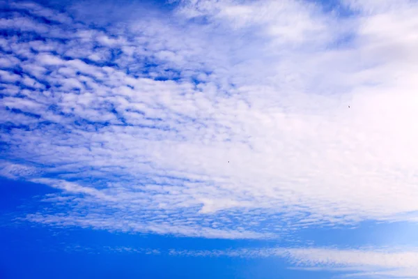 Blå himmel med moln — Stockfoto