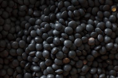 kurutulmuş mercimek fasulye