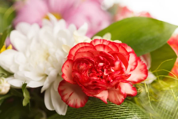Kolor kwiatów bukiet — Zdjęcie stockowe