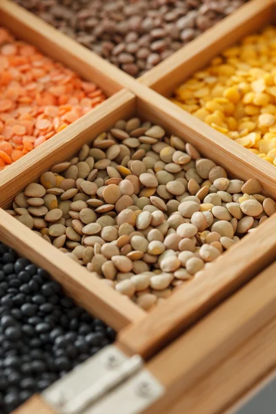 Dried lentils beans — Stock Image Dried lentils beans Royalty Free Stock Images