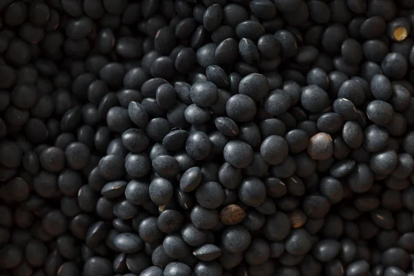 Dried lentils beans — Stock Image Dried lentils beans Stock Picture