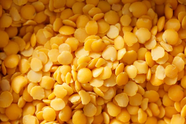 Dried lentils beans — Stock Image Dried lentils beans Stock Image