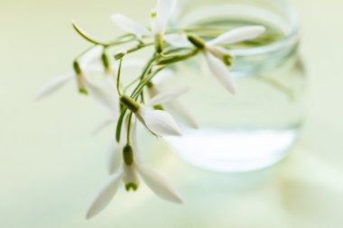 tencerede bahar çiçekleri