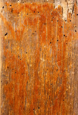 Ahşap doku arkaplanı