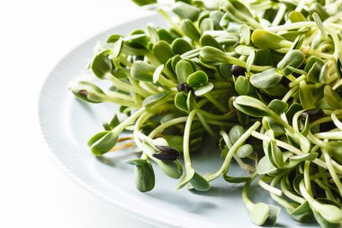 Ayçiçeği lahanası kaynaklanıyor