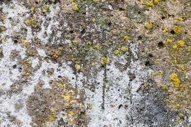 eski duvar arka plan