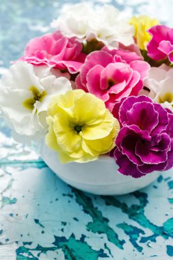 tencerede bahar çiçekleri