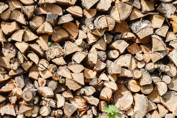 Torr ved konsistens — Stockfoto