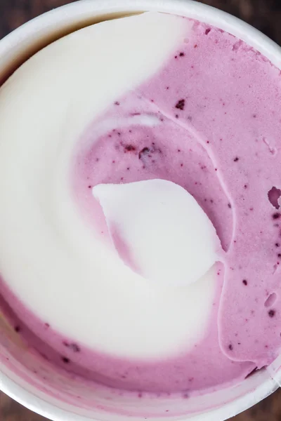 Frozen yogurt with blueberries — Stock Photo, Image