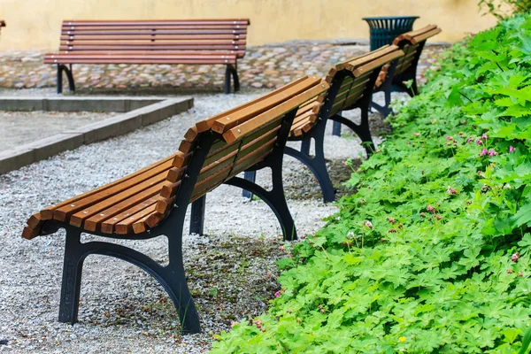 Bench in green park — Stock Photo, Image