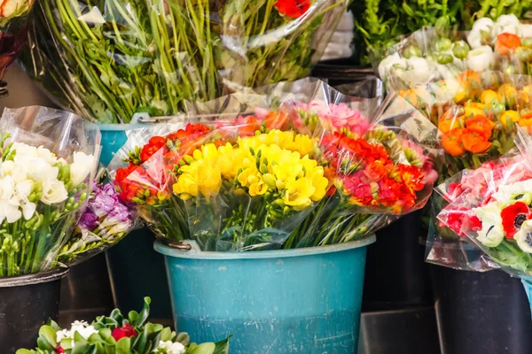 Schöne Blumen in Töpfen — Stockfoto