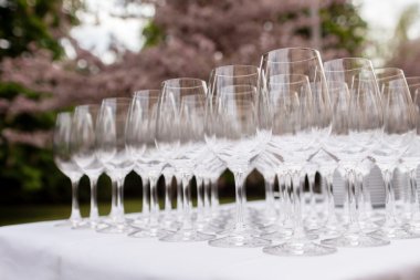 boş şampanya bardağı