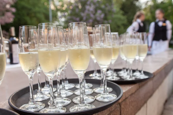 Champagneglas på tallrikar — Stockfoto