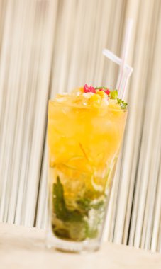 taze mojito kokteyli