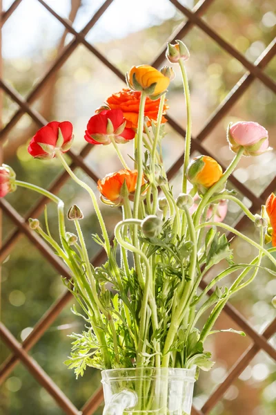 Farverige persiske smørblomst blomster - Stock-foto