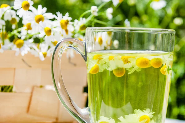 Chamomile tea and flowers — Stock Photo, Image