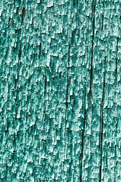 Fond de mur vert — Photo