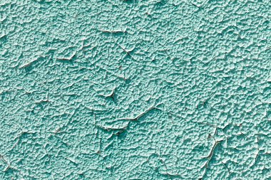 yeşil duvar arka plan