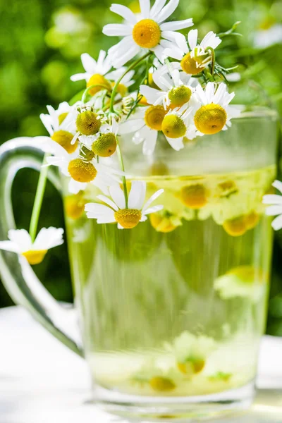 Chamomile tea and flowers — Stock Photo, Image