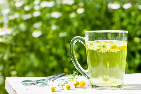 Chá de camomila e flores — Fotografia de Stock