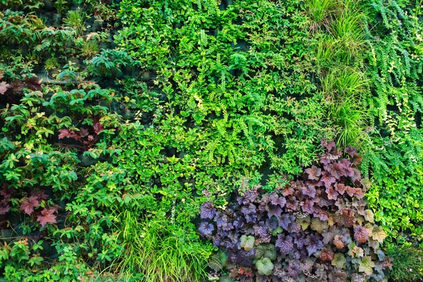 Natuur laat achtergrond — Stockfoto