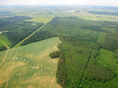 Ormanın havadan görünüşü