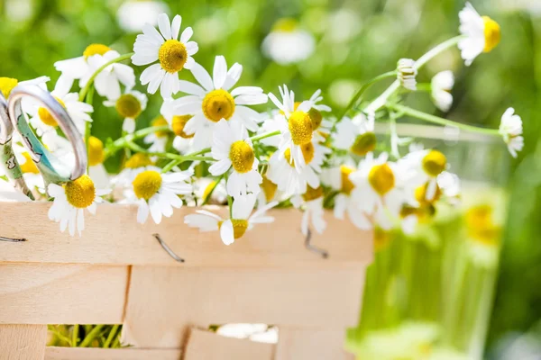 Chamomile tea in basket — Stock Photo, Image