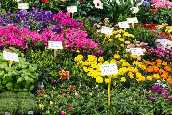 Mercado de flores com preço — Fotografia de Stock