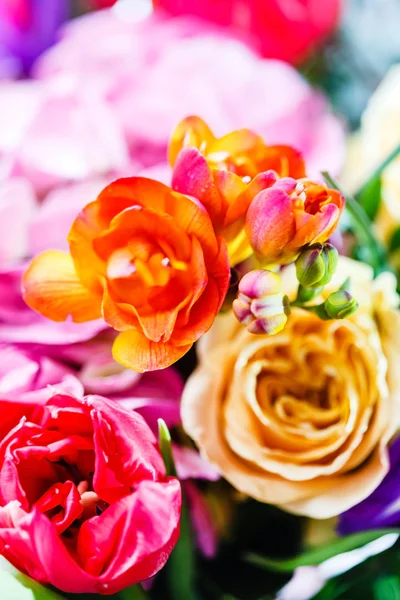 Bunch of beautiful colorful flowers — Stock Photo, Image