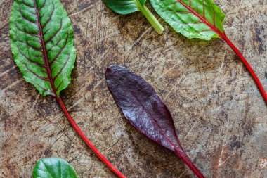taze salata yaprakları