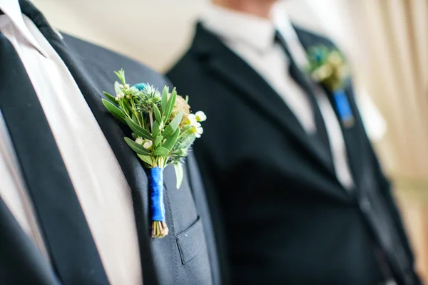 Elegante knappe bruidegoms — Stockfoto