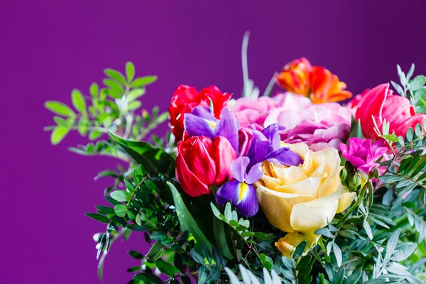 Massa vackra färgglada blommor — Stockfoto