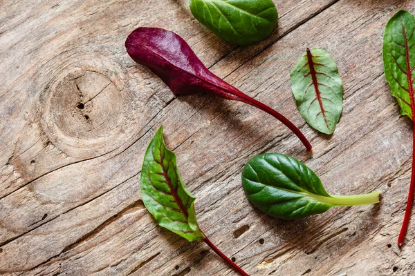 Hojas de ensalada fresca — Foto de Stock