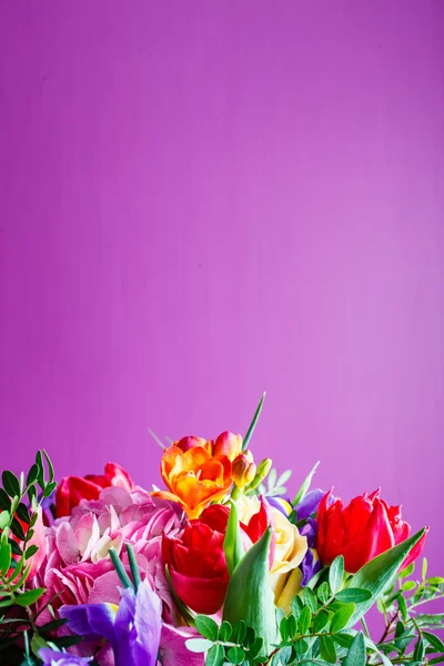 Fundal de vacanță cu flori colorate — Fotografie, imagine de stoc