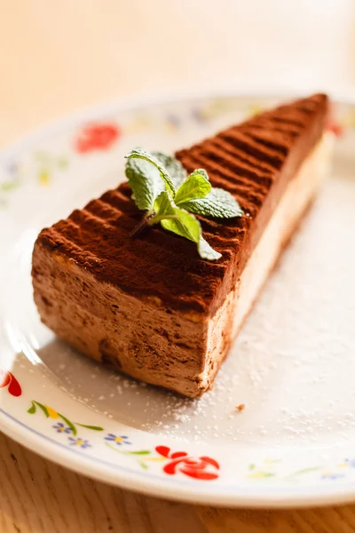 박하 잎이 달린 초콜릿 케이크 — 스톡 사진
