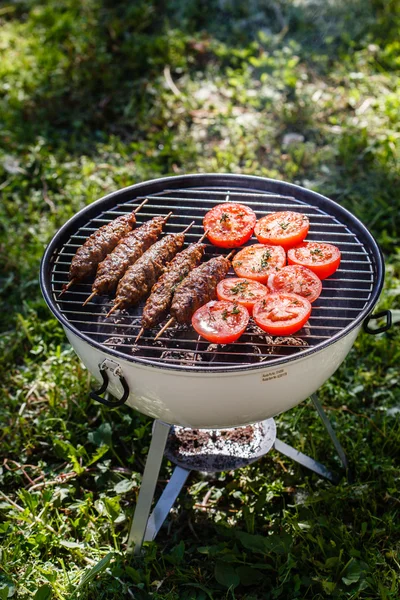 Churrasco kebabs com legumes — Fotografia de Stock