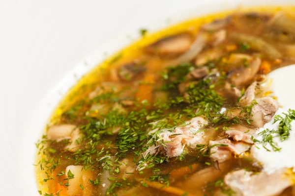 Sopa de champiñones en plato — Foto de Stock