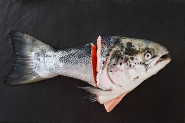 Çiğ somon çorbası