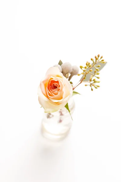 Ωραίο ροδαλό λουλούδι — Φωτογραφία Αρχείου