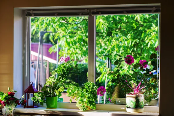 Fenster im Landhaus — Stockfoto