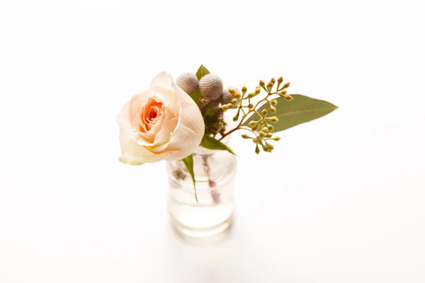 Ładny kwiat róży — Zdjęcie stockowe