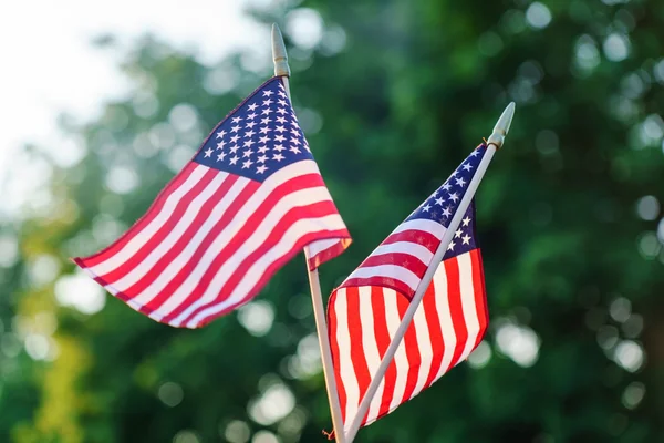 Amerikanische Flaggen bei sonnigem Wetter im Freien — Stockfoto