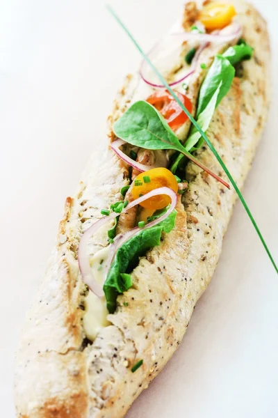 Sandwich savoureux sur blanc — Photo