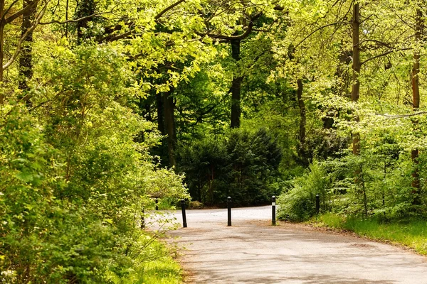 Jardín de primavera verde —  Fotos de Stock