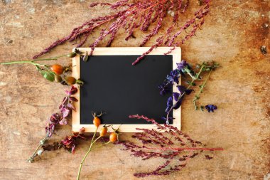 Bitkiler boş yazı tahtası ile