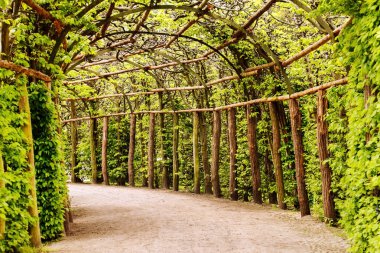 Yeşil bahar bahçe tünelde