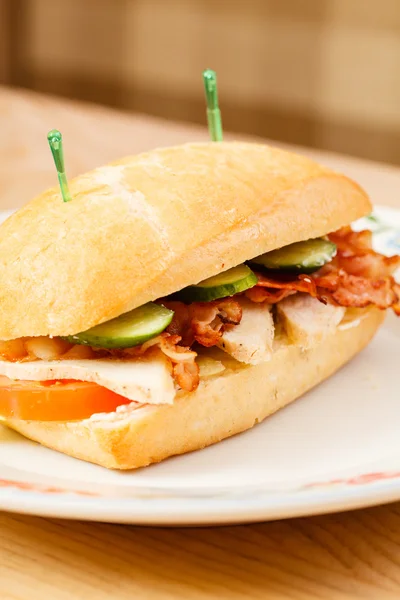 Gustoso panino grande sul piatto — Foto Stock